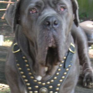 Meet your Posher, Tracey